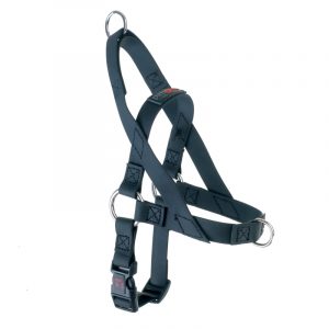 Freedom Harness